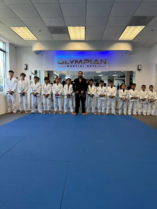 Olympian Martial Arts Picture 1