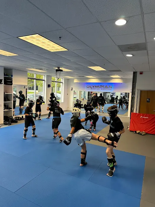 Olympian Martial Arts Picture 5