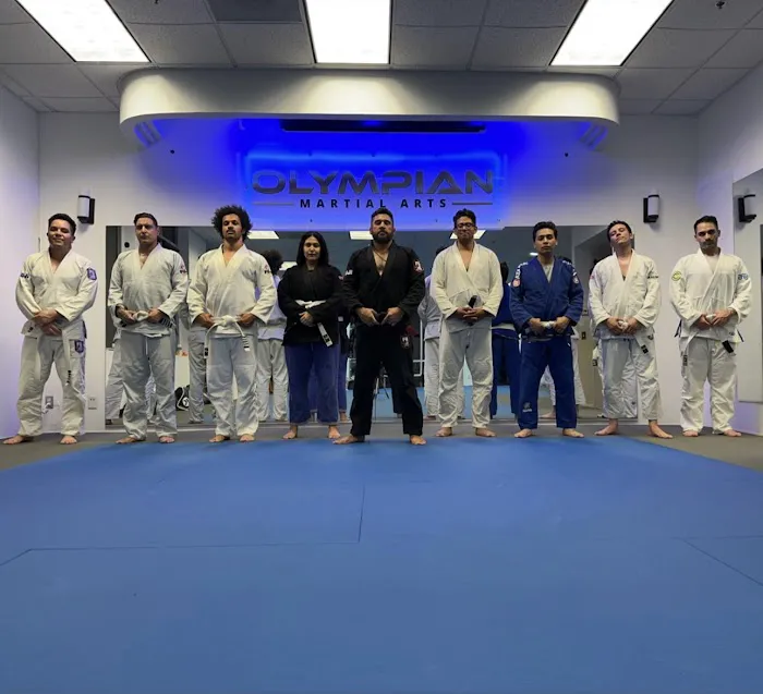 Olympian Martial Arts Picture 8