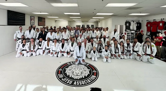 Gallegos jiu jitsu HQ Picture 6