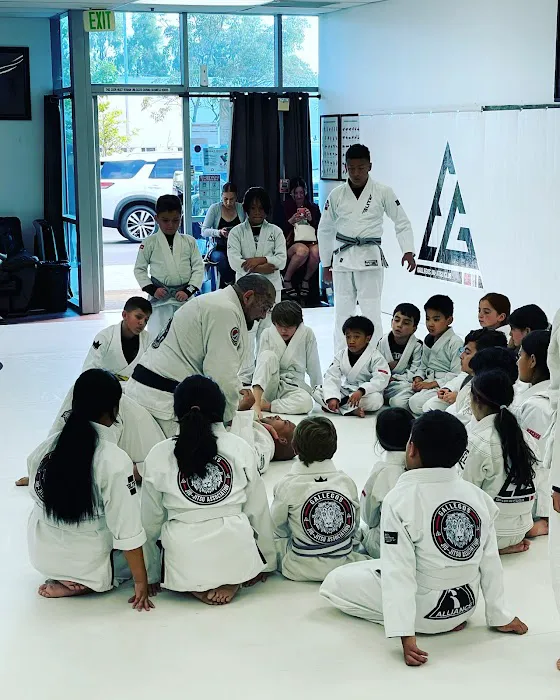 Gallegos jiu jitsu HQ Picture 8
