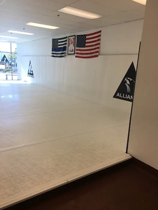 Gallegos jiu jitsu HQ Picture 4