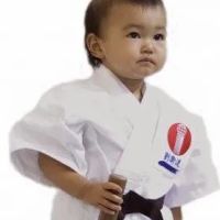 Eastlake Karate ico