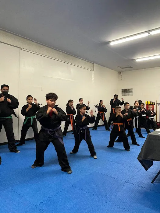 Trujillo's art of self defense Picture 4