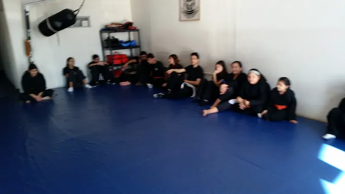 Trujillo's art of self defense Picture 1