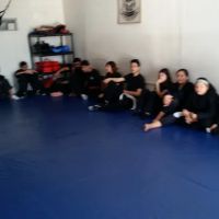 Trujillo's art of self defense ico