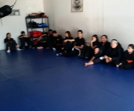 Trujillo's art of self defense