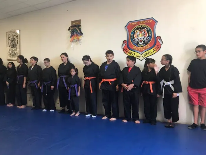 Trujillo's art of self defense Picture 9