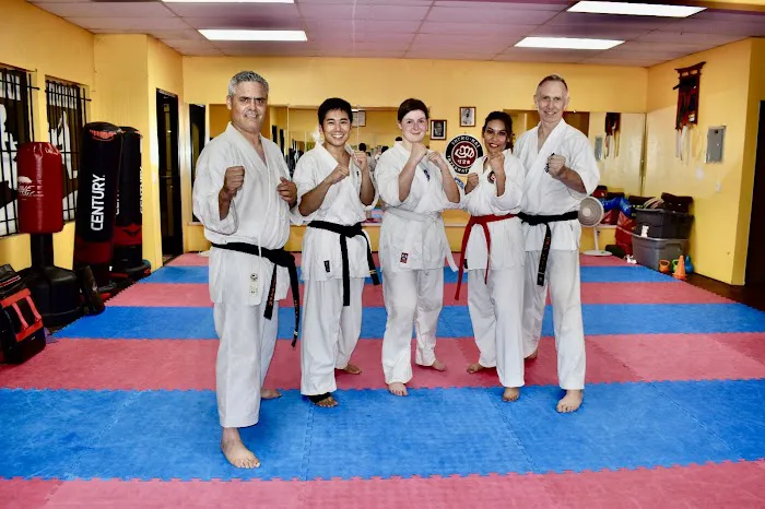Budo Zone: Physical Fitness, Martial Arts School, Self Defense School, Karate Do School Picture 1