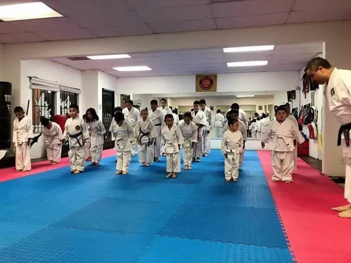 Budo Zone: Physical Fitness, Martial Arts School, Self Defense School, Karate Do School Picture 6