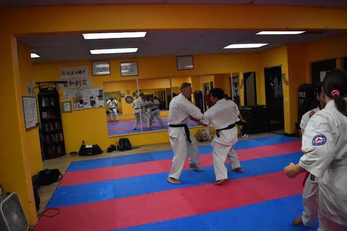 Budo Zone: Physical Fitness, Martial Arts School, Self Defense School, Karate Do School Picture 2