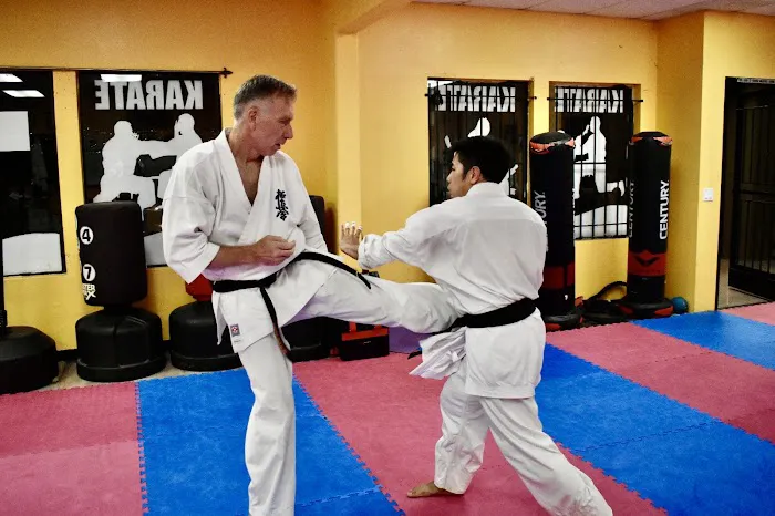 Budo Zone: Physical Fitness, Martial Arts School, Self Defense School, Karate Do School Picture 4