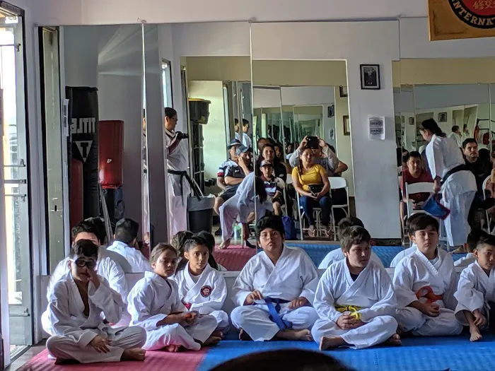 Budo Zone: Physical Fitness, Martial Arts School, Self Defense School, Karate Do School Picture 5