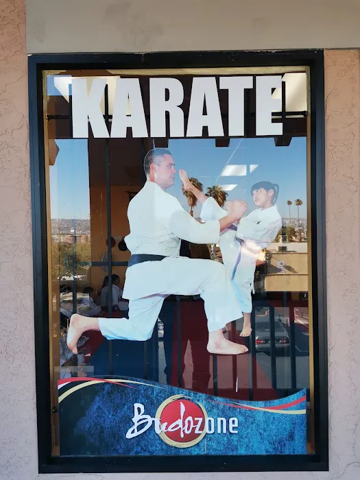 Budo Zone: Physical Fitness, Martial Arts School, Self Defense School, Karate Do School Picture 3