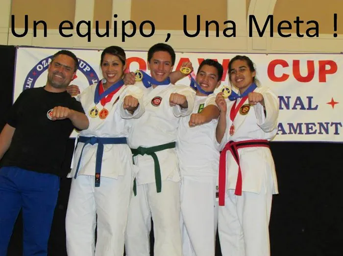 Budo Zone: Physical Fitness, Martial Arts School, Self Defense School, Karate Do School Picture 9
