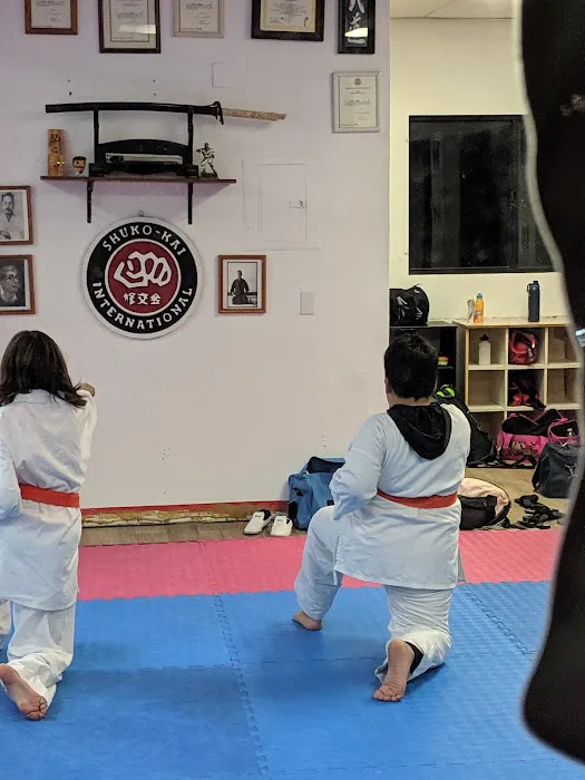 Budo Zone: Physical Fitness, Martial Arts School, Self Defense School, Karate Do School Picture 7