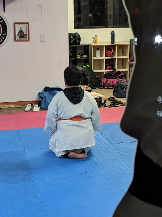 Budo Zone: Physical Fitness, Martial Arts School, Self Defense School, Karate Do School Picture 8