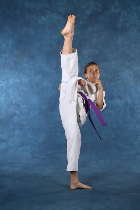 Freestyle Martial Arts Picture 3