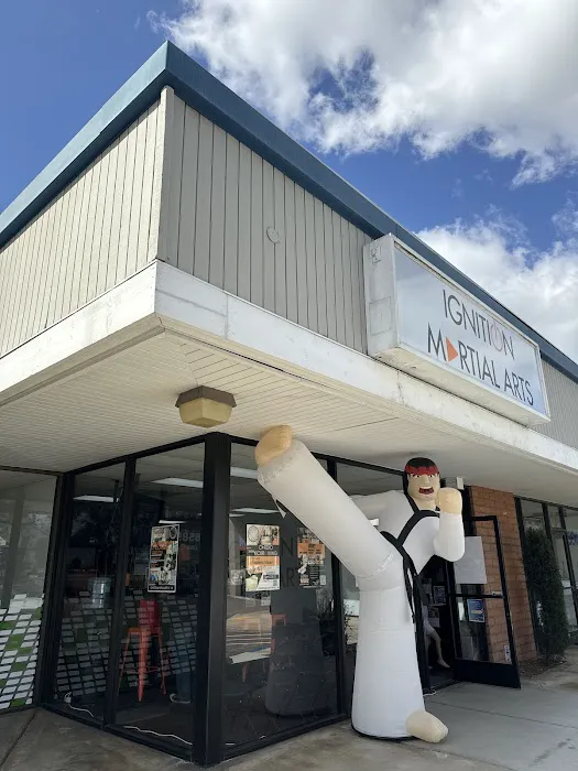 Ignition Martial Arts Picture 1