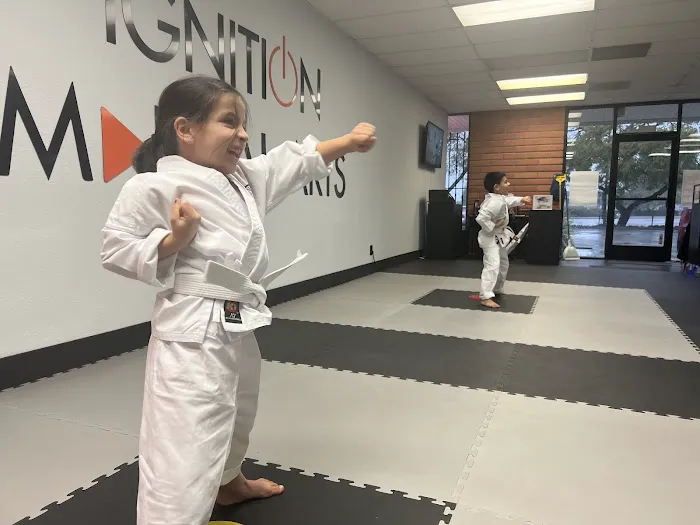 Ignition Martial Arts Picture 3