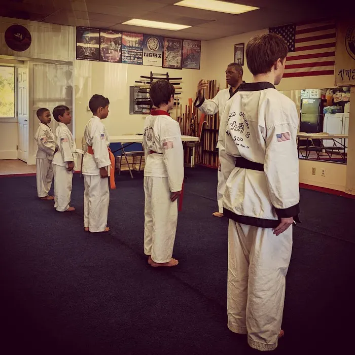 Allied Gardens Tang Soo Do Karate Academy Picture 2
