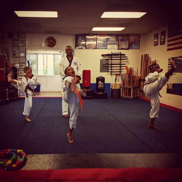 Allied Gardens Tang Soo Do Karate Academy Picture 4