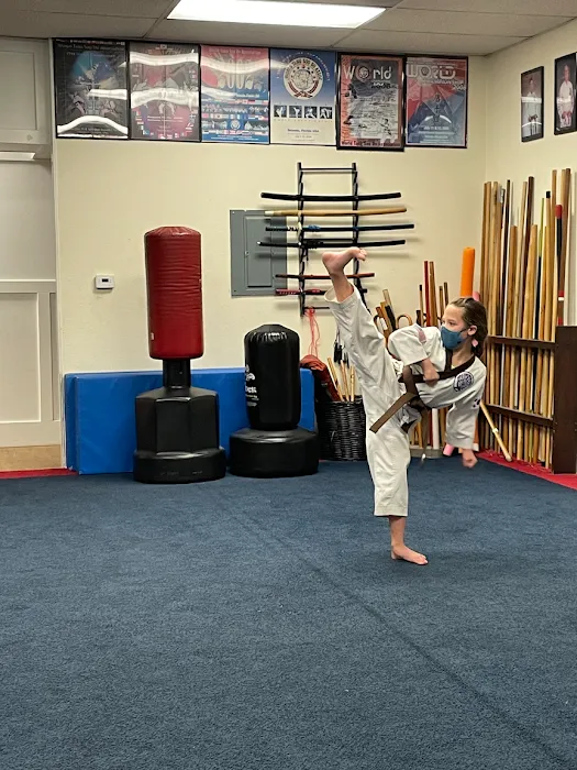 Allied Gardens Tang Soo Do Karate Academy Picture 10