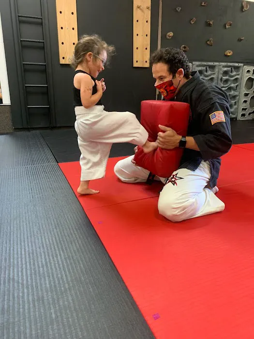 Kempo Alliance Martial Arts Picture 1