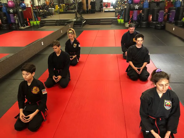 Kempo Alliance Martial Arts Picture 2