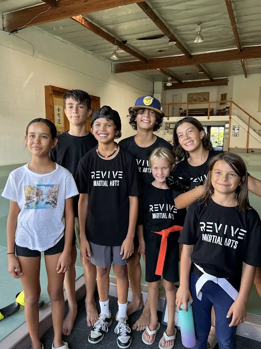 Revive Martial Arts Picture 1