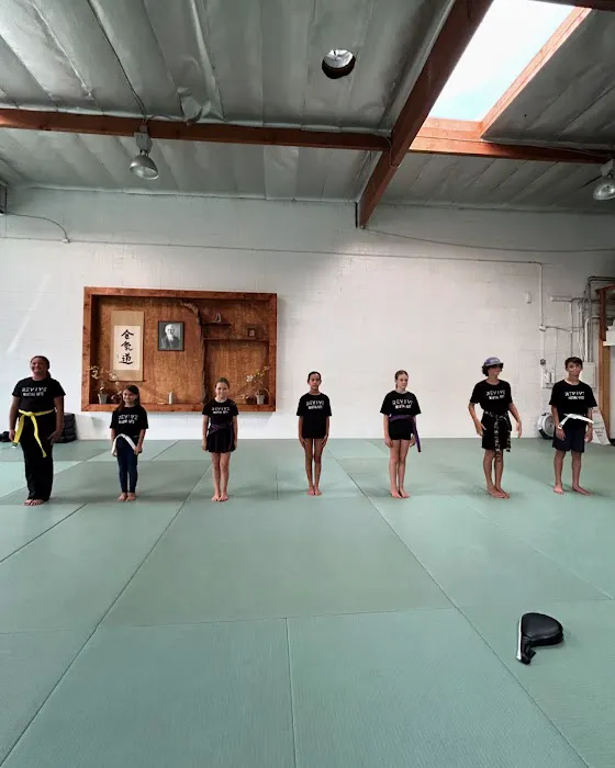 Revive Martial Arts Picture 2