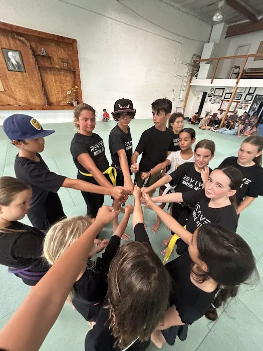 Revive Martial Arts Picture 3