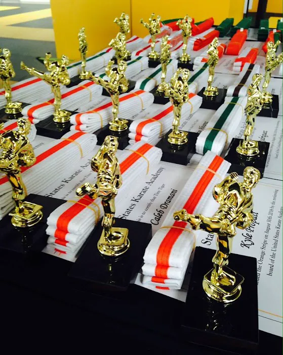 U.S. Karate Academy Picture 6
