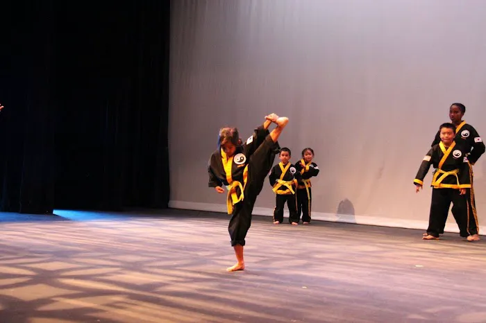 U.S. Karate Academy Picture 7