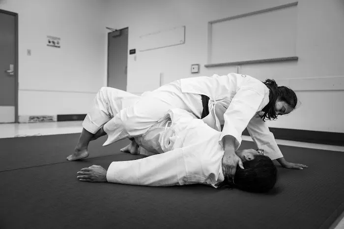 Sunny Dojo Picture 2