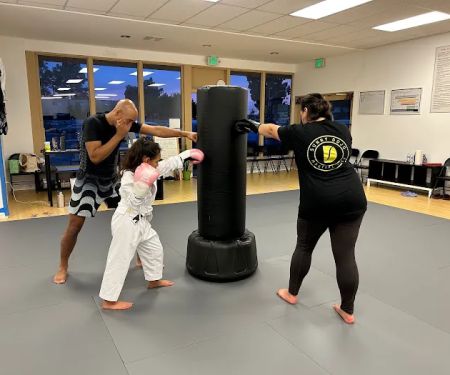 Sunny Dojo