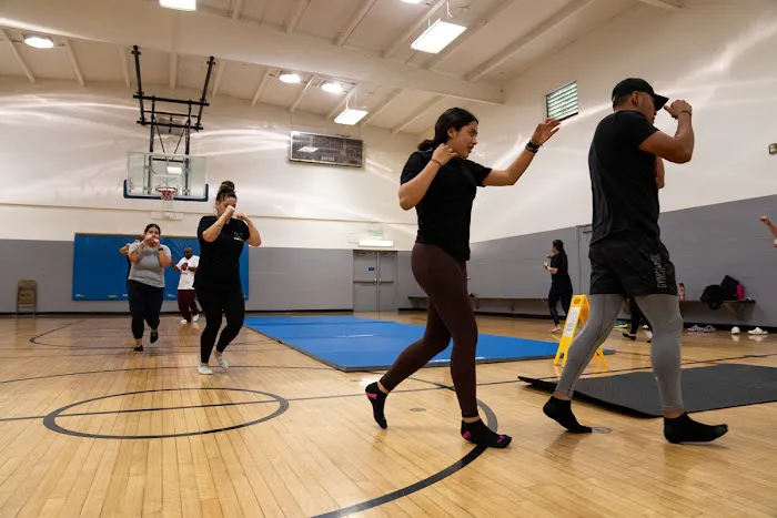 Sunny Dojo Picture 8