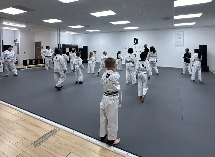 Sunny Dojo Picture 10