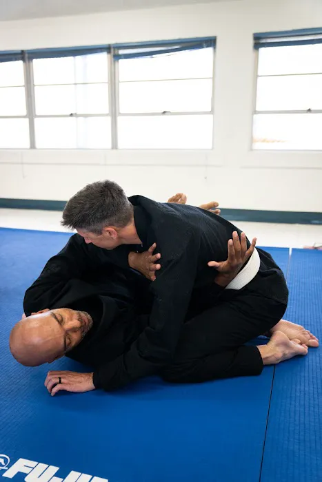 Sunny Dojo Picture 7