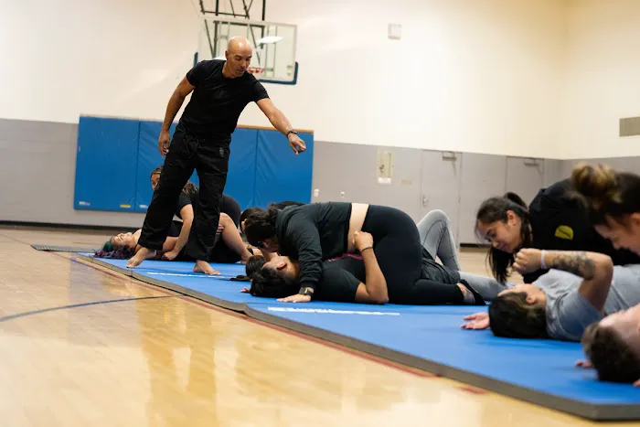 Sunny Dojo Picture 4