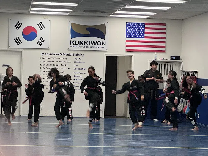 Mac Tae Kwon Do Picture 4