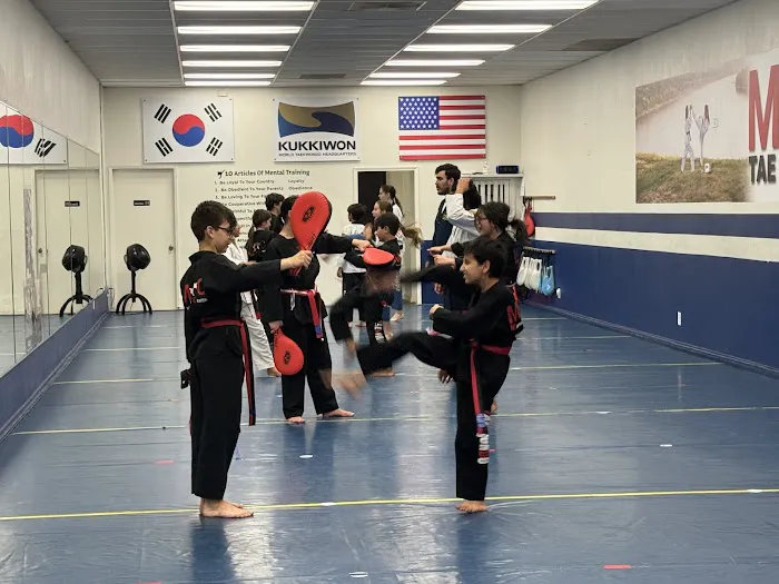 Mac Tae Kwon Do Picture 5