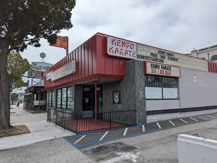 Bryan Hawkins Kenpo Karate Picture 1