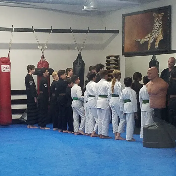 Bryan Hawkins Kenpo Karate Picture 5