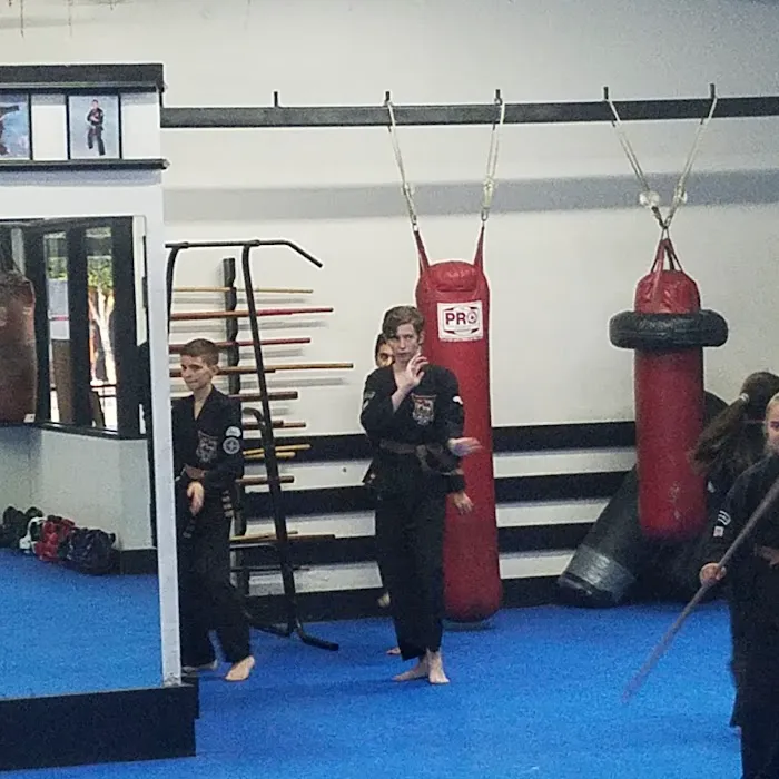 Bryan Hawkins Kenpo Karate Picture 7