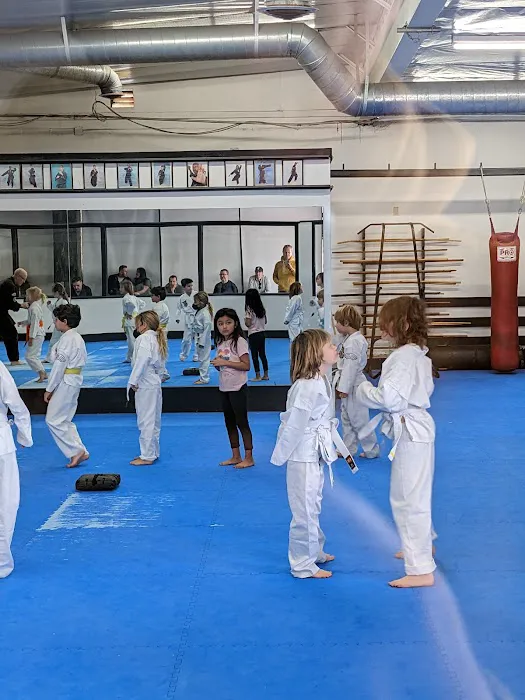 Bryan Hawkins Kenpo Karate Picture 8