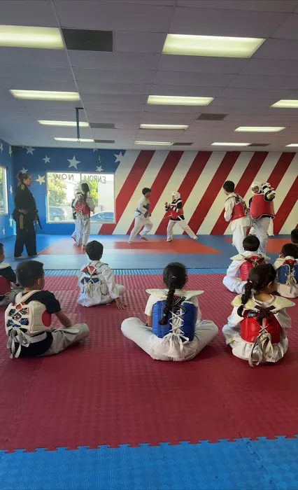 USA Tae Kwon Do Center Picture 5