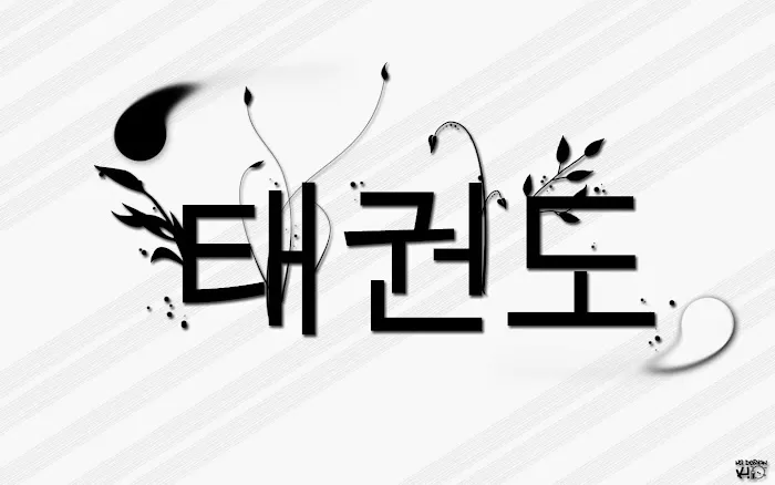 USA Tae Kwon Do Center Picture 8