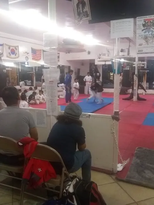 The ultimate Taekwondo fighters academy and MMA Academy Picture 1