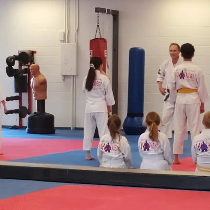 CKD Academy of Martial Arts Picture 5